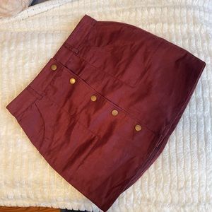 Velvet Skirt